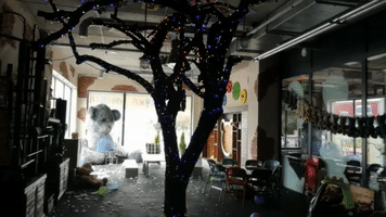 NBBIALYSTOK22  GIF