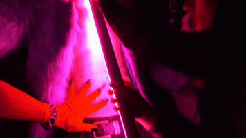 Drag Queen Party GIF by Miss Petty