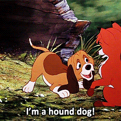 the fox and the hound GIF