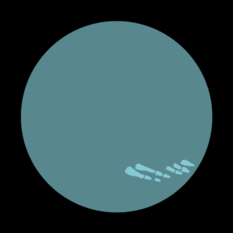 Ortopedia GIF