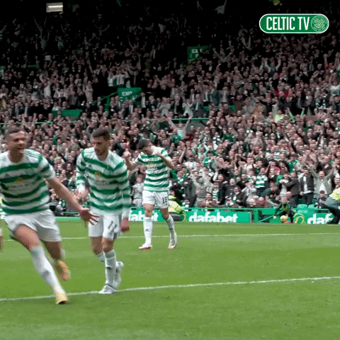 Celtic Fc Yes GIF by Celtic Football Club