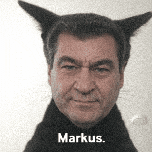 Larry Csu GIF