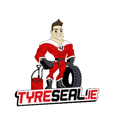 tyreseal.ie south dublin Sticker