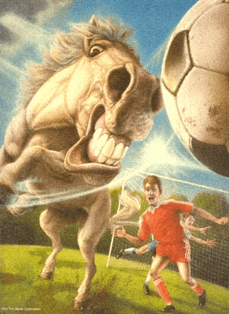 Horse Kicking A Soccer Ball GIF