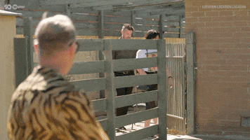 Mitchandmark GIF by Location Location Location Australia