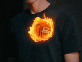 Sunrisers Hyderabad Captain GIF