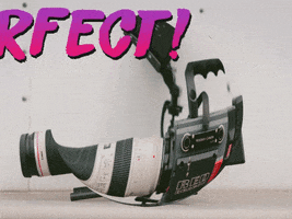 200.gif?cid=fc005b088bb87e09197d0f46f00581c6beeebfc4d63ffe21&rid=200.gif&ct=g