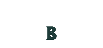 Brookie's Gin Sticker