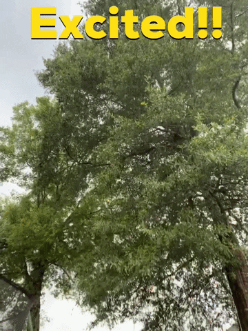 Just Better Daily GIF