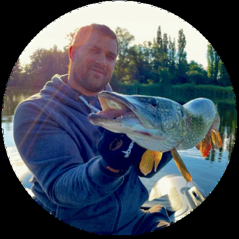 Fish GIF