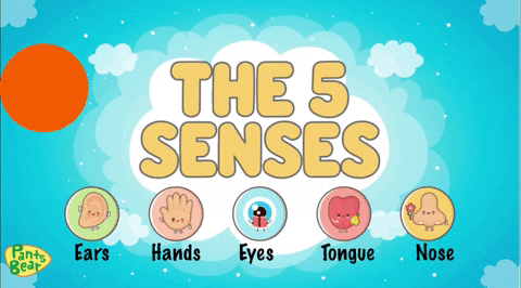Five Sense GIFs - Find & Share on GIPHY