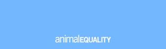 Animal Equality Germany GIF