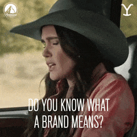 Meaning Paramount Network GIF by Yellowstone