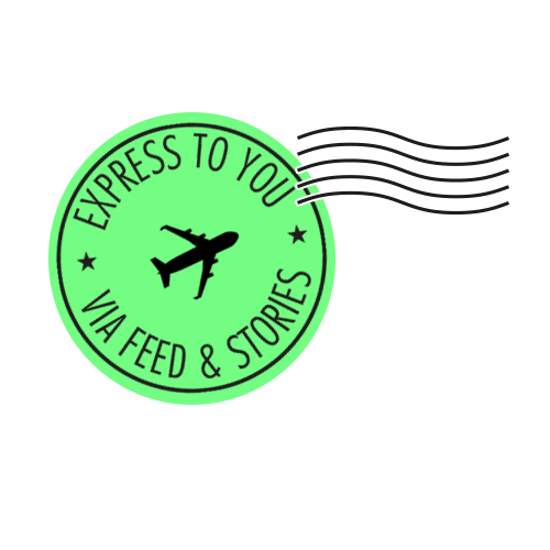 Plane Story Sticker