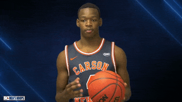 And One Basketball GIF by Carson-Newman Athletics