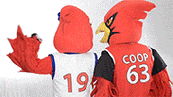 Cardinals Coop GIF by Saginaw Valley State University