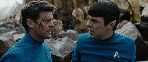 Star Trek Bones GIF