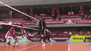 Canada Save GIF by Volleyball World