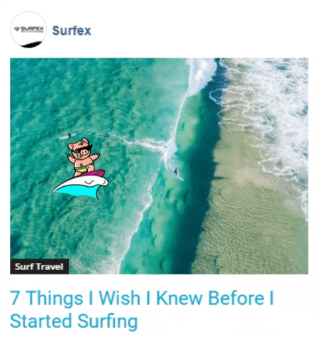 surfing tips GIF by Gifs Lab