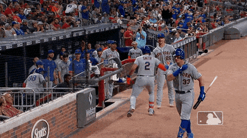 Home Run Celebration GIF by New York Mets