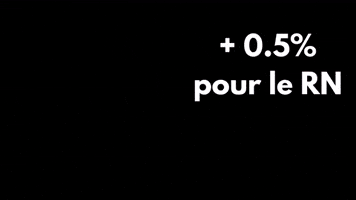 Rassemblement National GIF