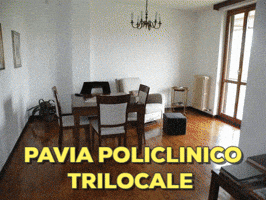 lucaallegrone  GIF
