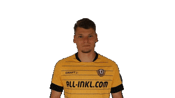 SG Dynamo Dresden Sticker
