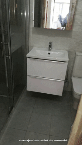 Amenajare Baie GIF