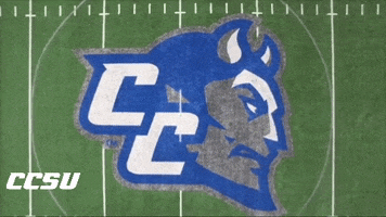 Blue Devils Ccsu GIF by Central Connecticut State University