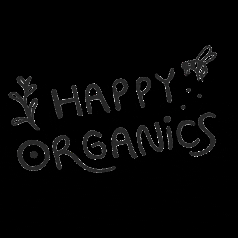 Honey Bees GIF by Happy Organics