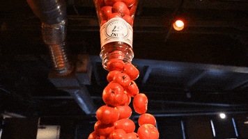 Waterfall Tomato GIF by Heinz History Center