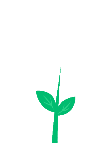 Credit Dolar Sticker by safefinancial