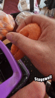 Grinding Carrot Top GIF by STAGEWOLF