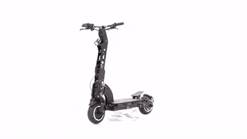 Panther Segway GIF by FREEMOTION