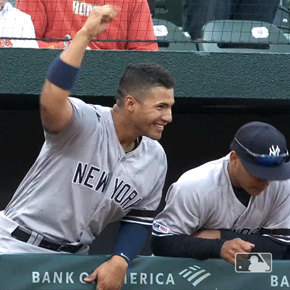 Happy Major League Baseball GIF by New York Yankees
