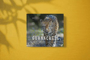 Ojalá Ediciones GIF