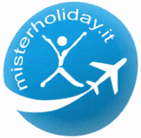 MISTER HOLIDAY ROMA EST GIF