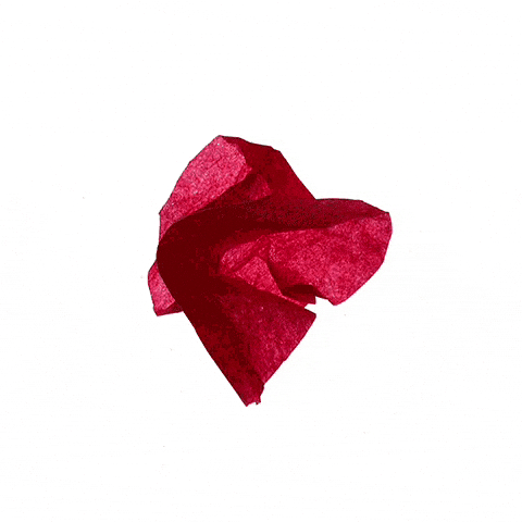 Diego Feijóo Studio GIF