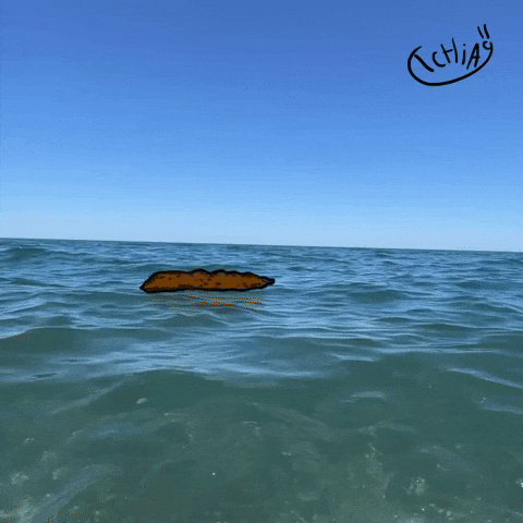 T9Chia GIF