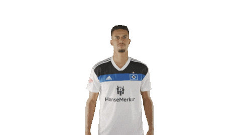Soccer Hamburg Sticker by HSV for iOS & Android GIPHY