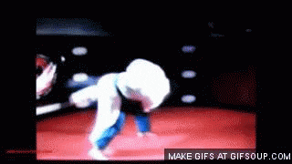 mixed martial arts