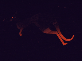 200.gif?cid=fc005b088cfb3735a0ade993676be4bddeb2d2fd08d33652&rid=200.gif&ct=g