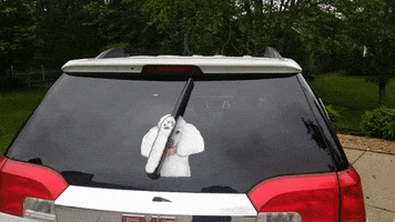 Dog Sticker GIF by WiperTags Wiper Covers