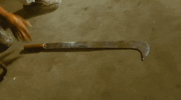 Indian Cinema Style GIF