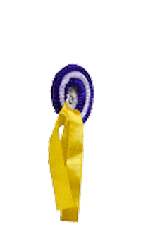 VER-Dinale - Verdener Hallenreitturnier Sticker