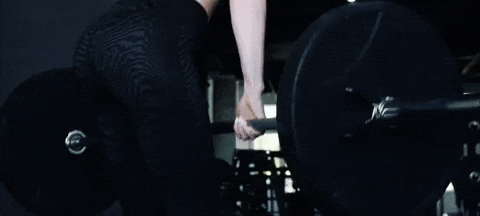 Sexy-workout-leggings GIFs - Get the best GIF on GIPHY
