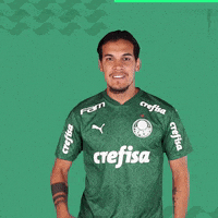 Gomez Puma GIF by SE Palmeiras