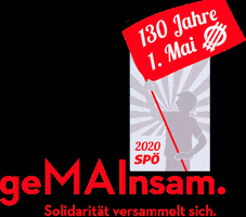 Solidaritat Sozialdemokratie GIF by SPOEat