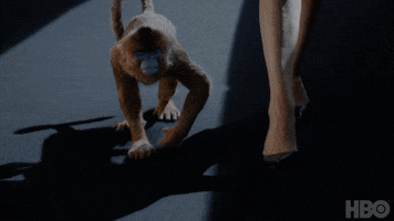 200.gif?cid=fc005b088bc477c6fe07042fd1d4e4fc0578792014c34875&rid=200.gif&ct=g
