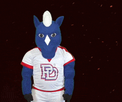 Spirit What GIF by Providence Day School